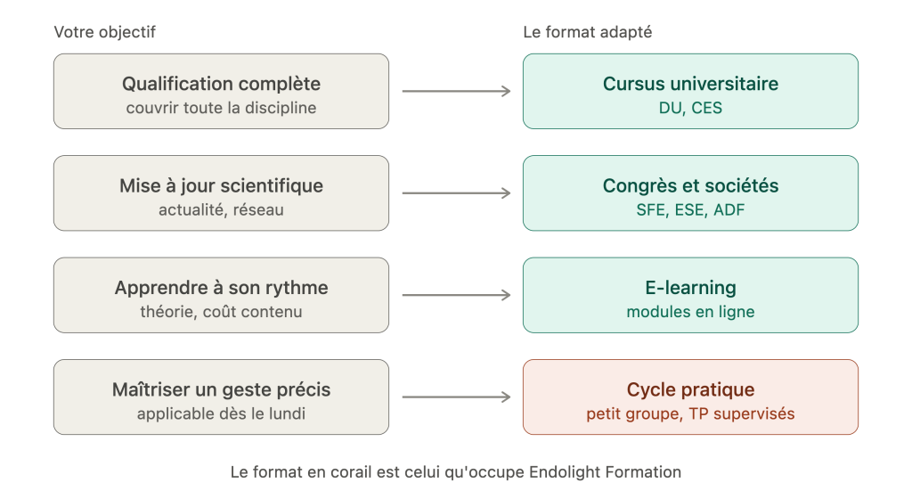 Schéma de correspondance entre objectif du praticien et format de formation en endodontie